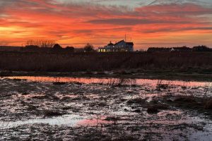 deal marsh house by jo malpass